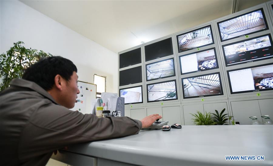 CHINA-SPRING FESTIVAL-PEOPLE AT WORK (CN)