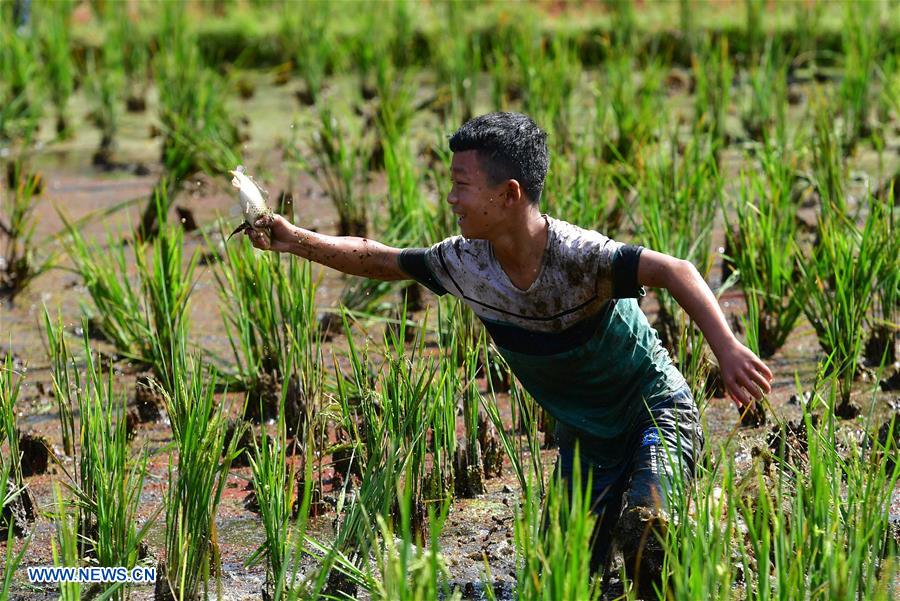 CHINA-GUANGXI-RONGSHUI-FAIR-FOOD (CN)