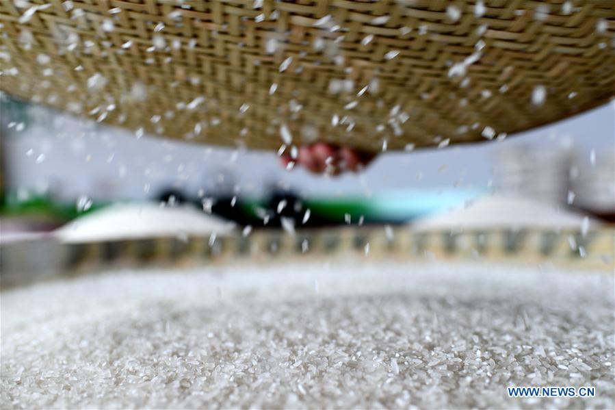 CHINA-JOB MARKET-STABLE (CN)