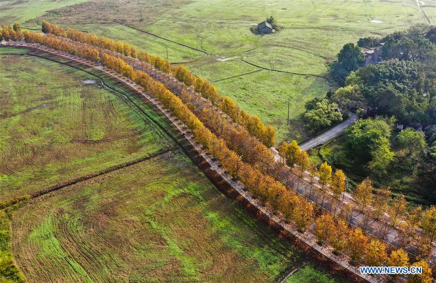 CHINA-CHONGQING-GUANGYANG ISLE-WINTER SCENERY (CN)