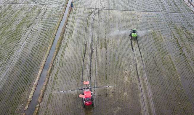 Unmanned sprayer, harvester, rice transplanter work in field in E China