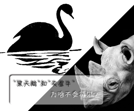 "黑天鵝"和"灰犀牛"為啥不受待見？