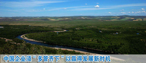 中國企業(yè)須“多管齊下”以贏得發(fā)展新時(shí)機(jī)