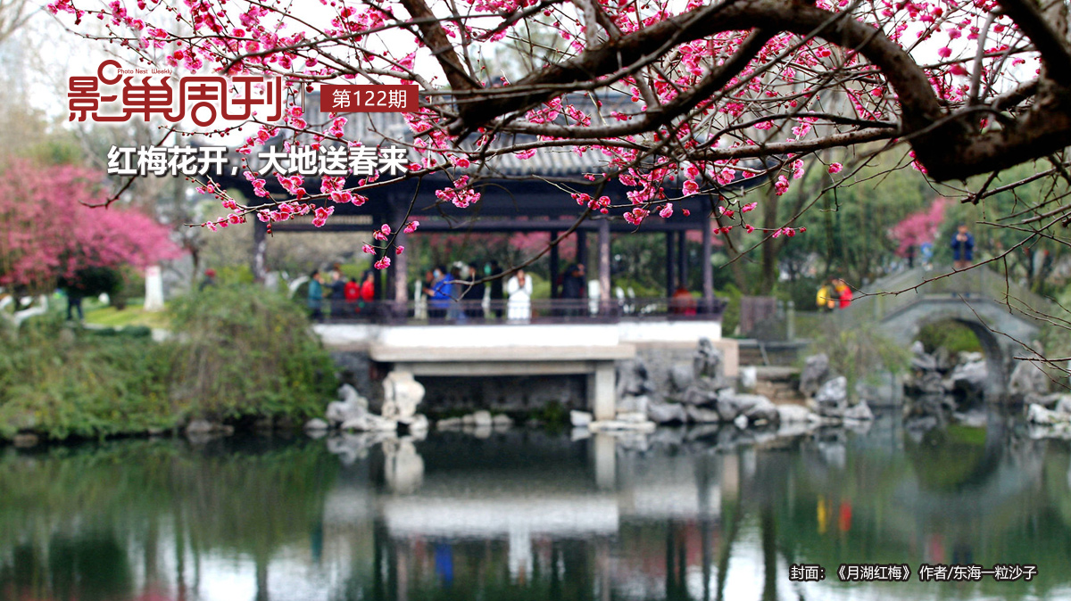【影巢周刊】紅梅花開(kāi)，大地送春來(lái)