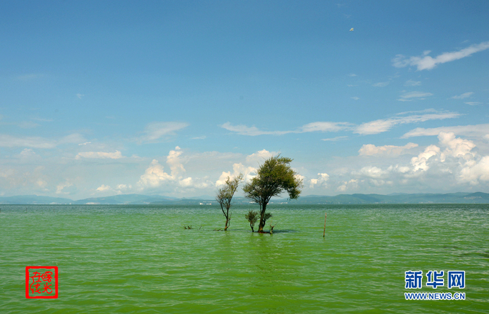 陽光昆明，爽爽的春城