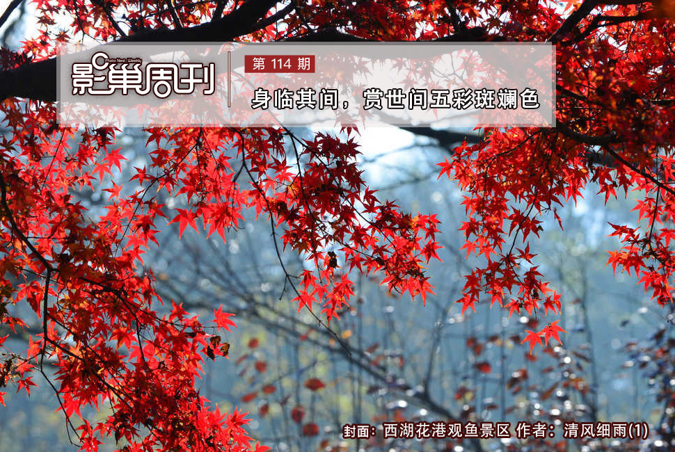 西湖花港觀魚(yú)景區(qū)