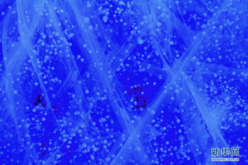 氣泡冰亮晶晶，藍精靈賽繁星