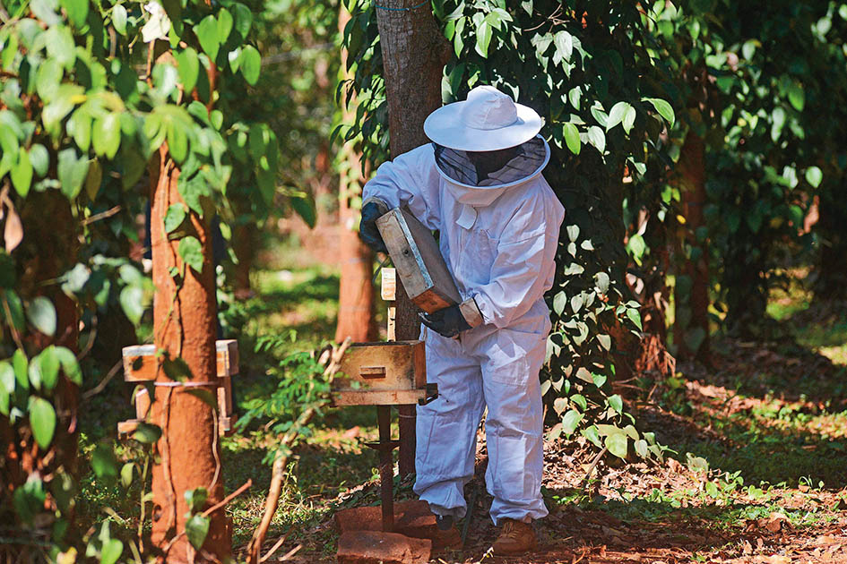 印度駛?cè)階I小模型賽道