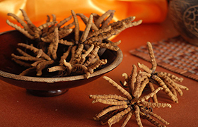 中藥材首獲國際&ldquo;身份證&rdquo;