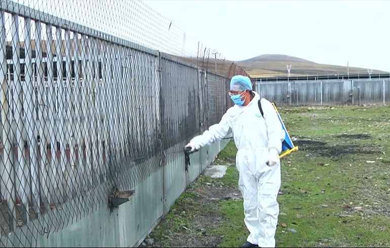 致敬偉大改革｜對話40年，講述身邊的健康故事（第二十一集）&mdash;&mdash;送瘟神