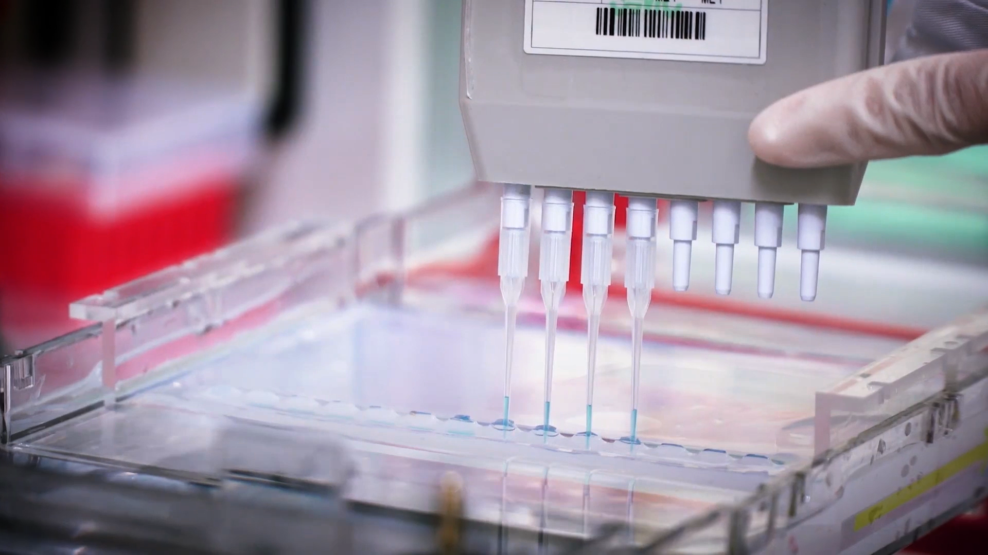 致敬偉大改革｜對話40年，講述身邊的健康故事32&mdash;打破醫(yī)學(xué)禁區(qū)，探尋生命奇跡