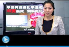 權(quán)威聲音：&ldquo;快時(shí)代&rdquo;究竟還有什么可以速成？