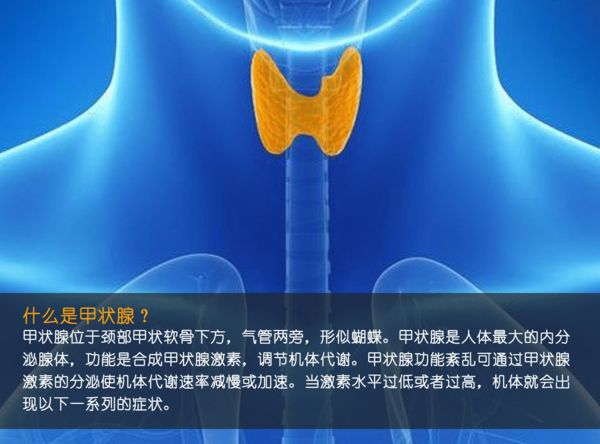 關(guān)注甲狀腺健康，你應(yīng)該知道的那些事