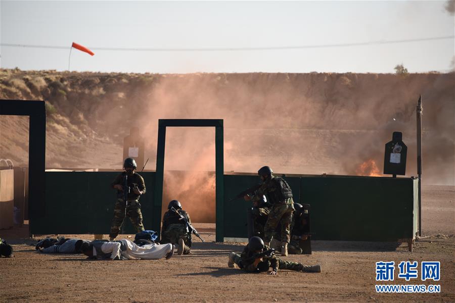 (國際·圖文互動)(3)“海洋衛(wèi)士-2020”中巴海上聯(lián)合演習閉幕