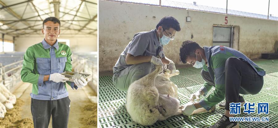 （脫貧攻堅(jiān)&middot;圖片故事）（9）脫貧靠雙手&mdash;&mdash;新疆和田地區(qū)未摘帽縣就業(yè)見聞