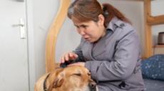 &ldquo;有你在身旁，真好&rdquo;