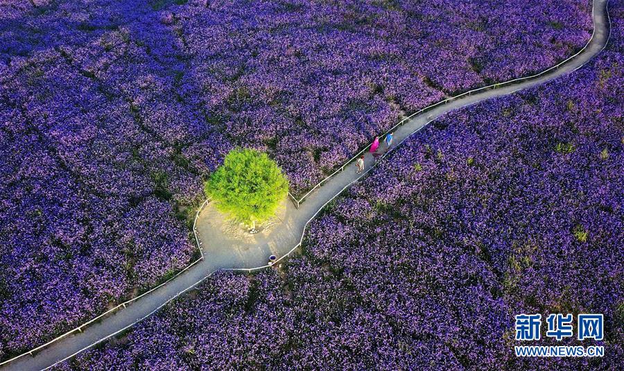 （十九大&middot;讀報告 話民生）（7）加快生態(tài)文明體制改革，建設美麗中國