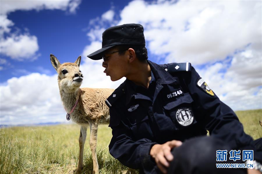 （十九大&middot;讀報(bào)告 話民生）（8）加快生態(tài)文明體制改革，建設(shè)美麗中國