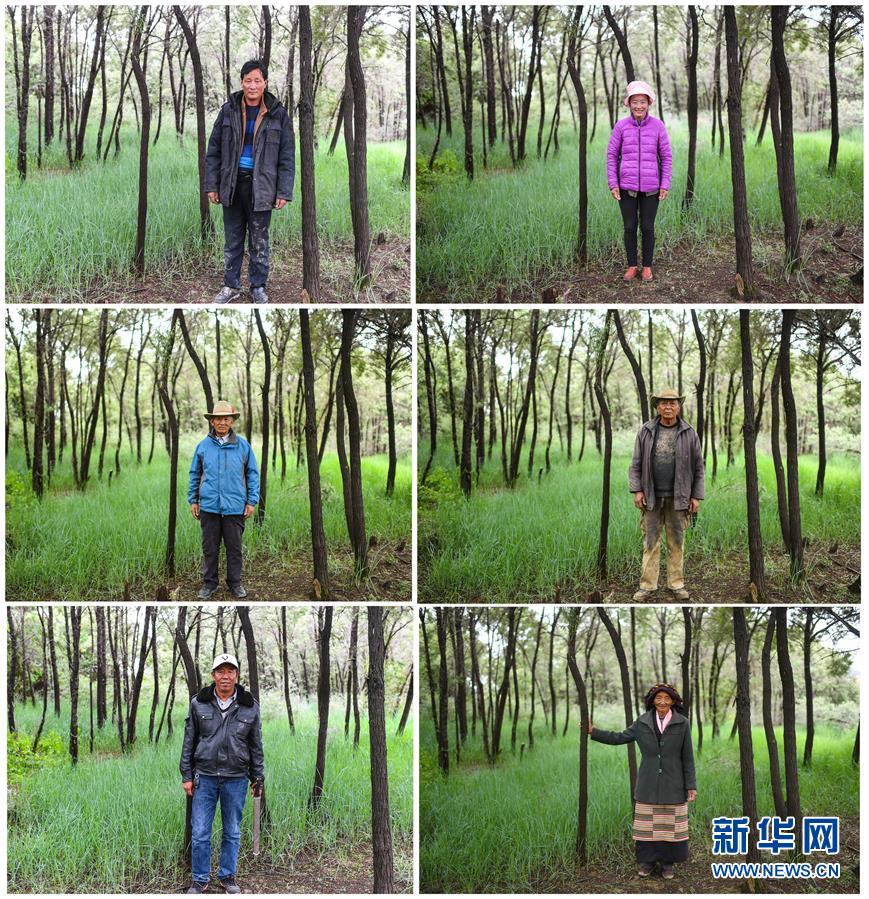 （十九大&middot;讀報告 話民生）（9）加快生態(tài)文明體制改革，建設(shè)美麗中國