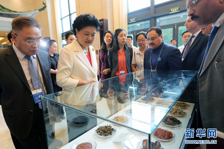 7月6日，金磚國家衛(wèi)生部長會暨傳統(tǒng)醫(yī)藥高級別會議在天津開幕。這是國務(wù)院副總理劉延?xùn)|與外賓一起參觀傳統(tǒng)醫(yī)藥文化展。 新華社記者 張玉薇 攝