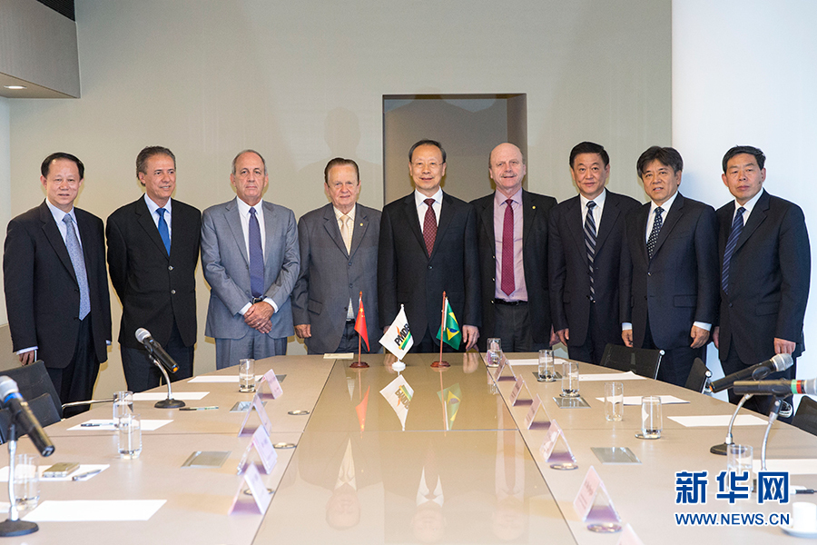7月11日，在巴西首都巴西利亞，中共中央書記處書記、全國政協(xié)副主席杜青林（中）會(huì)見巴西民主運(yùn)動(dòng)黨總書記毛羅&middot;洛佩斯（左四）。新華社記者李明攝