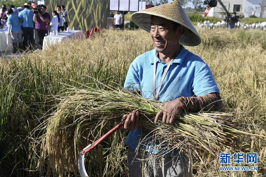 （新華全媒頭條&middot;圖文互動）（2）歷史性飛躍的偉大實(shí)踐&mdash;&mdash;中國共產(chǎn)黨引領(lǐng)中國特色社會主義開辟發(fā)展新境界述評