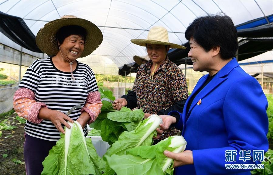 （十九大代表在基層&middot;圖文互動）（3）沈騰香：保護好綠水青山 圓鄉(xiāng)親們小康夢