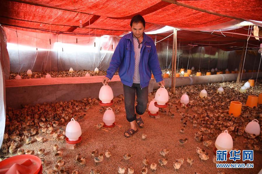 （新華全媒頭條&middot;圖文互動）（8）赤水：別了，貧困！