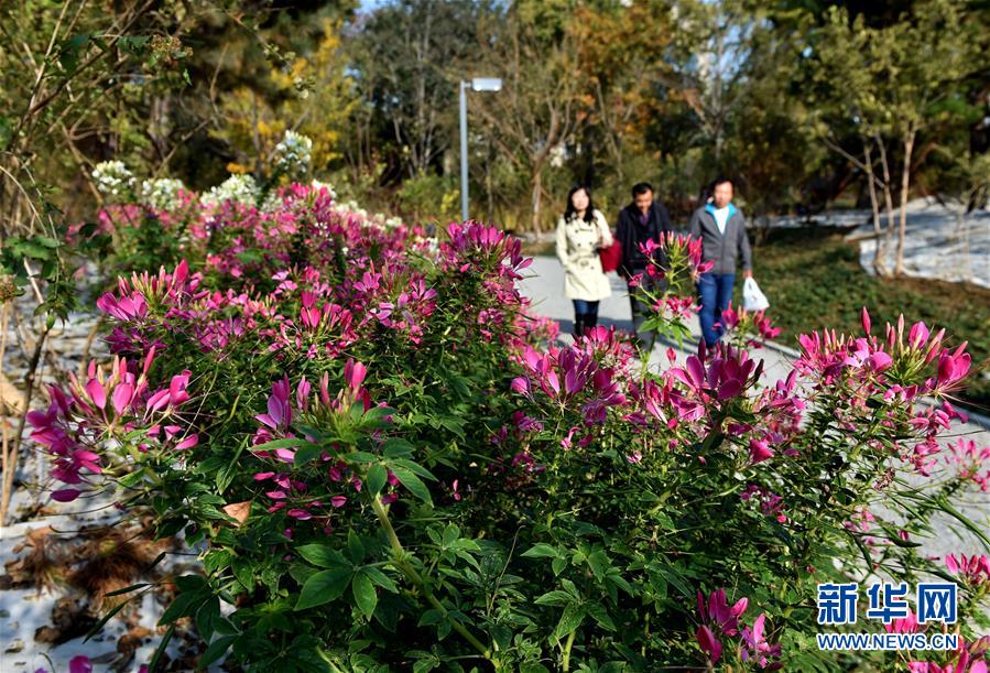 （圖文互動）（1）藍(lán)天白云講述北京新時代新故事&mdash;&mdash;北京站上新時代發(fā)展新起點(diǎn)