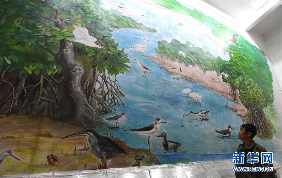 （圖文互動）（5）十年樹木、紅樹成林&mdash;&mdash;&ldquo;海上森林&rdquo;回歸記