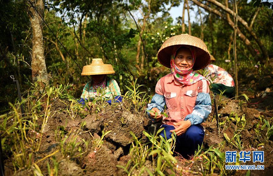 （新媒體專線）（6）立足獨特優(yōu)勢 勇立改革潮頭&mdash;&mdash;習近平總書記在海南考察回訪記