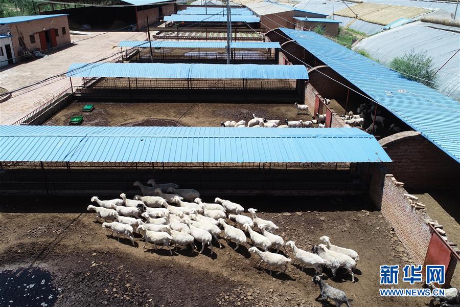 （壯闊東方潮 奮進(jìn)新時(shí)代&mdash;&mdash;慶祝改革開(kāi)放40年）（9）退耕還林20年 延安大地譜新篇