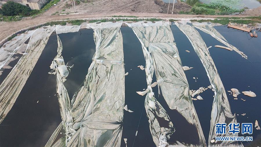 （新華視點(diǎn)&middot;圖文互動）（4）中央督察兩年有的絲毫未改，有的不減反增&mdash;&mdash;江蘇泰興數(shù)萬噸化工廢料和污泥堆放長江邊調(diào)查