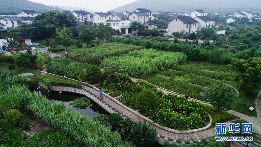 （在習(xí)近平新時代中國特色社會主義思想指引下&mdash;&mdash;新時代新作為新篇章&middot;圖文互動）（1）稀奇！治污濕地成了休閑公園&mdash;&mdash;江蘇蘇州全域推進農(nóng)村生活污水治理