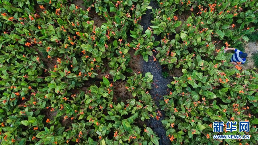（在習(xí)近平新時代中國特色社會主義思想指引下&mdash;&mdash;新時代新作為新篇章&middot;圖文互動）（5）稀奇！治污濕地成了休閑公園&mdash;&mdash;江蘇蘇州全域推進(jìn)農(nóng)村生活污水治理