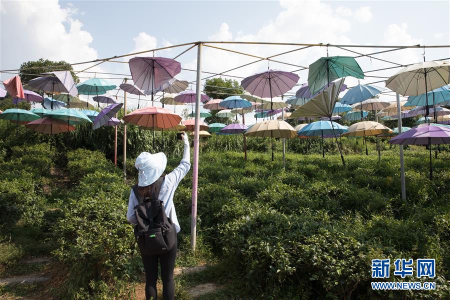 （大江奔流&mdash;&mdash;來自長江經(jīng)濟帶的報道&middot;圖文互動）（4）在這里，做一個幸福的農(nóng)民