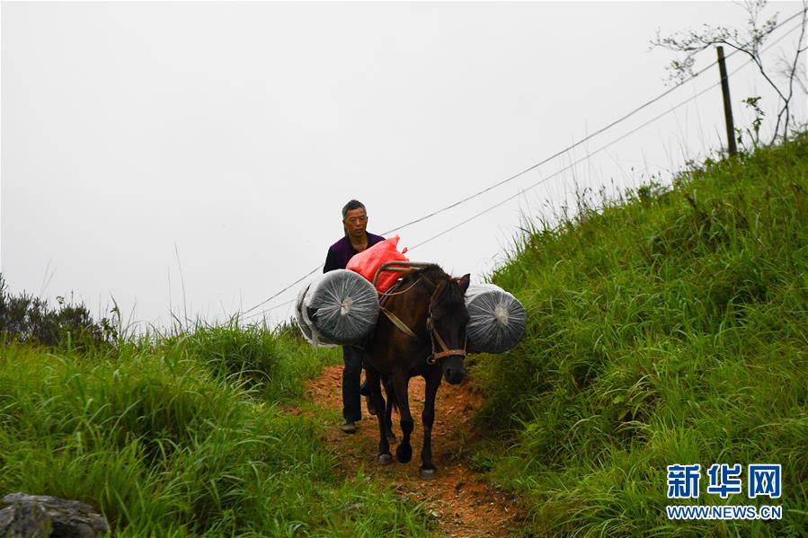 （新華全媒頭條&middot;圖文互動(dòng)）（4）一個(gè)人，一座山&mdash;&mdash;劉真茂的生命守望