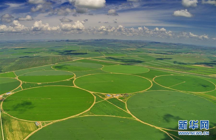 （經(jīng)濟）（2）綠染塞北農(nóng)田 展壩上現(xiàn)代農(nóng)業(yè)新姿