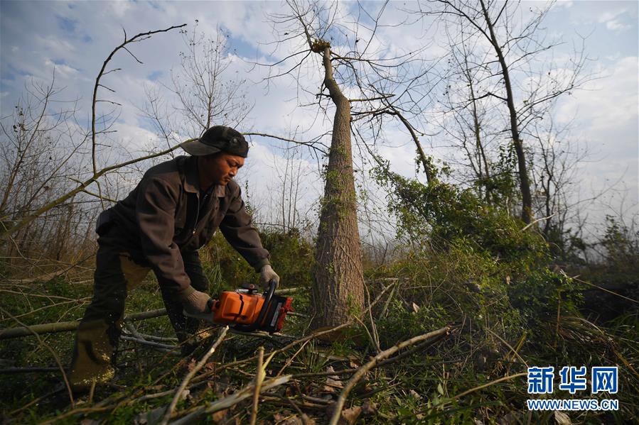 (大江奔流——來自長江經(jīng)濟(jì)帶的報(bào)道·新華全媒頭條·圖文互動(dòng))(6)打造經(jīng)濟(jì)高質(zhì)量發(fā)展的強(qiáng)勁引擎——深入推動(dòng)長江經(jīng)濟(jì)帶發(fā)展述評