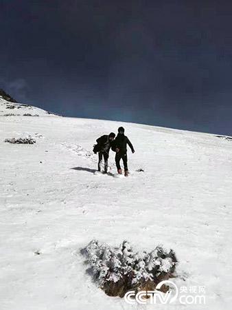 下雪天巡護(hù)也是常有的事。