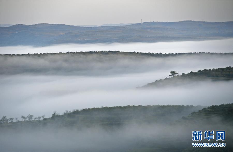 （新華全媒頭條&middot;圖文互動）（12）中國扶貧的西海固答卷&mdash;&mdash;寧夏奮進(jìn)60年巡禮之脫貧攻堅(jiān)篇
