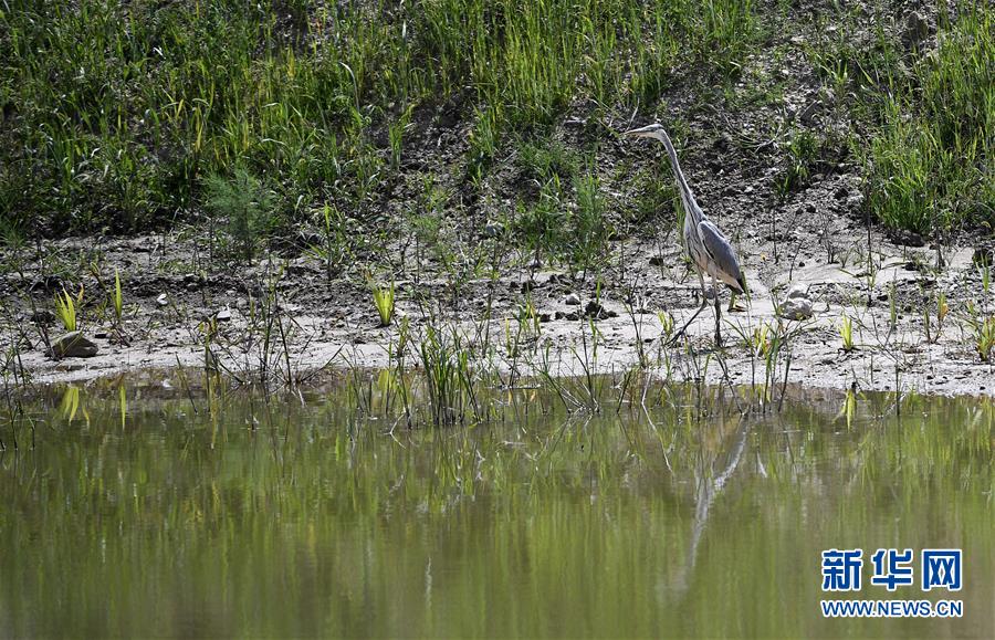 （新華全媒頭條&middot;圖文互動）（10）中國扶貧的西海固答卷&mdash;&mdash;寧夏奮進(jìn)60年巡禮之脫貧攻堅(jiān)篇