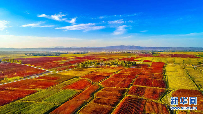 秋收的中國，你想象不到的美！但更美的是&hellip;&hellip;