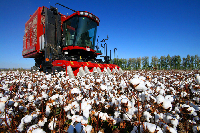 秋收的中國，你想象不到的美！但更美的是&hellip;&hellip;