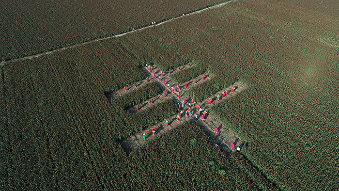 秋收的中國，你想象不到的美！但更美的是&hellip;&hellip;