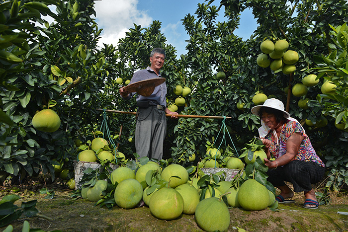 秋收的中國，你想象不到的美！但更美的是&hellip;&hellip;