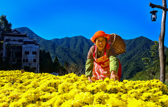 秋收的中國，你想象不到的美！但更美的是&hellip;&hellip;