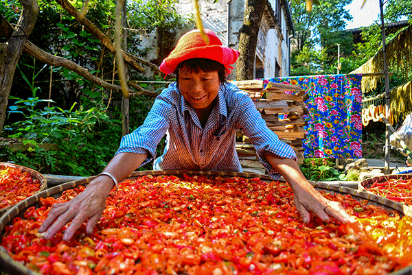 秋收的中國，你想象不到的美！但更美的是&hellip;&hellip;
