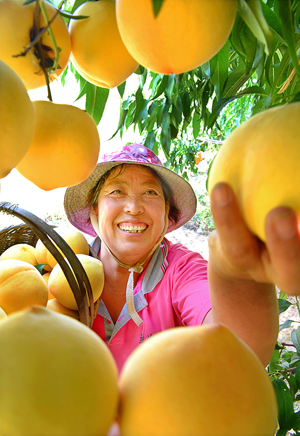 秋收的中國，你想象不到的美！但更美的是&hellip;&hellip;