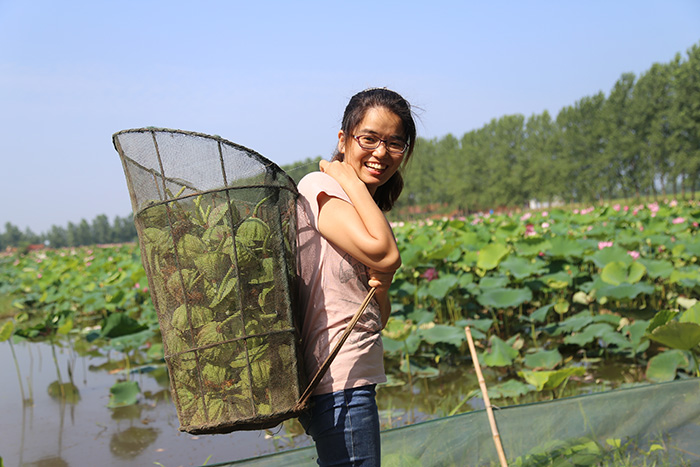 秋收的中國，你想象不到的美！但更美的是&hellip;&hellip;